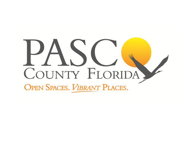 Insurance jobs in pasco county fl